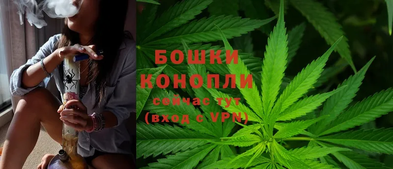 Каннабис SATIVA & INDICA  Куса 